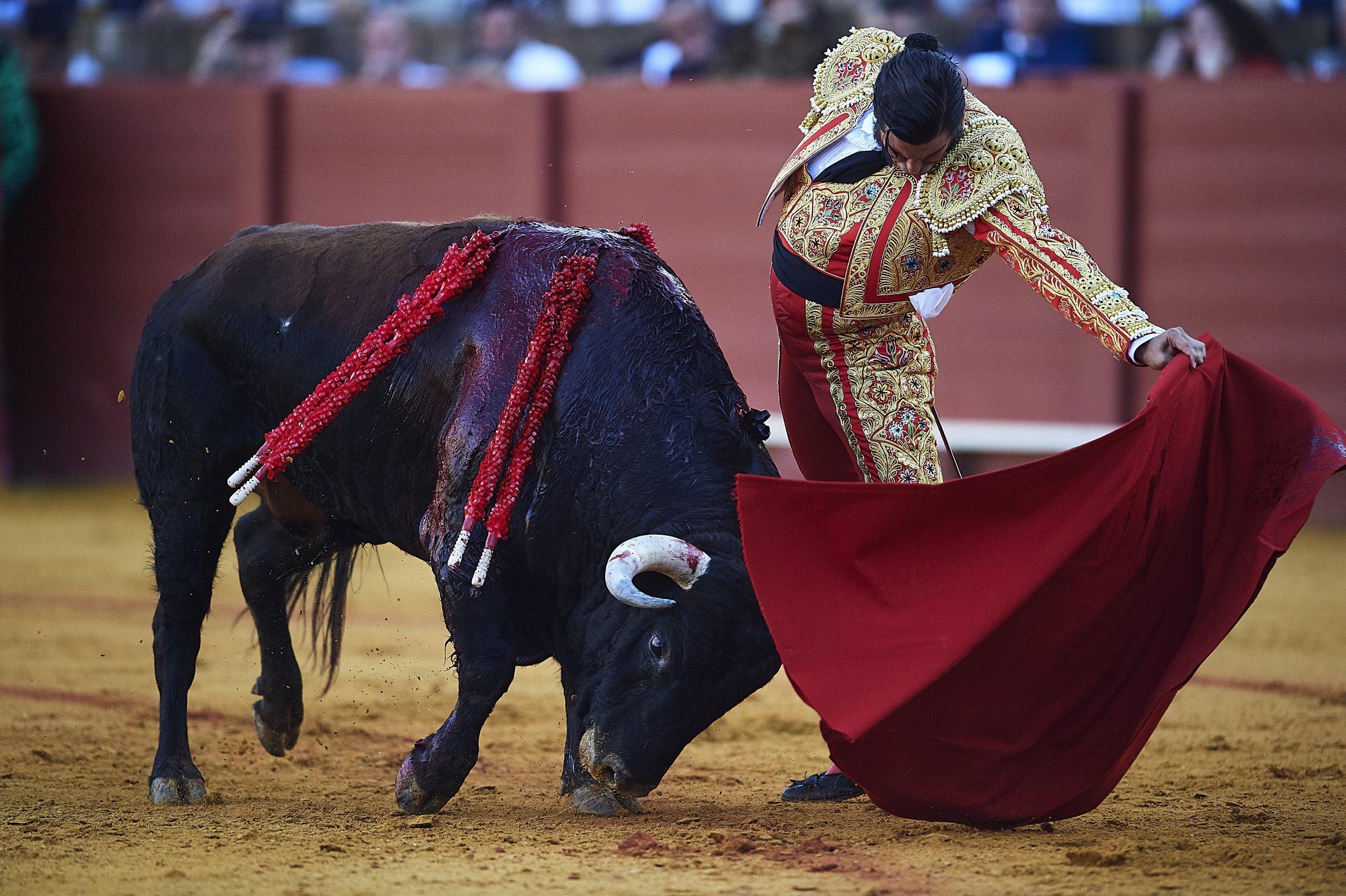 Bullfight, Tears