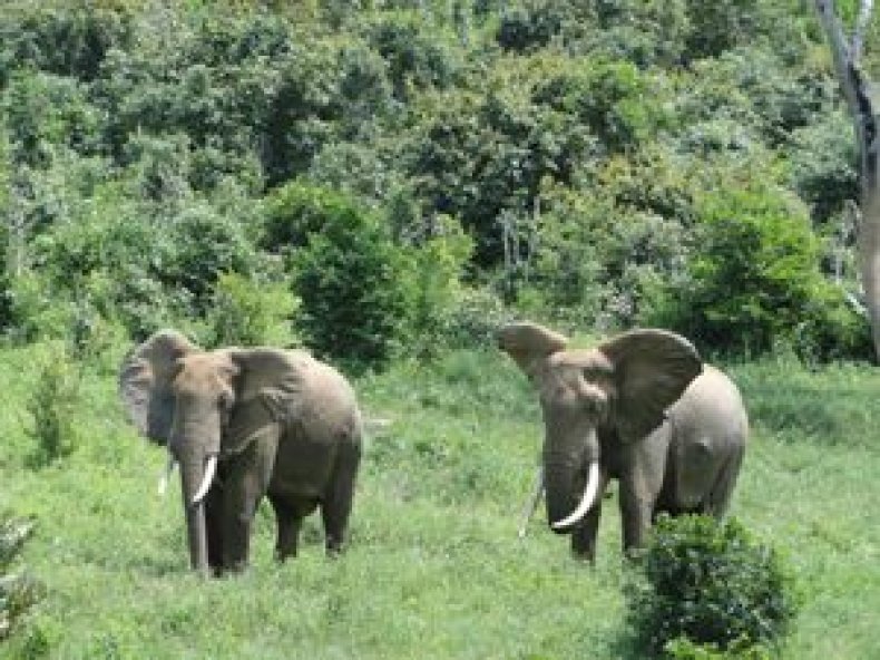 Mwaluganje Elephant Sanctuary