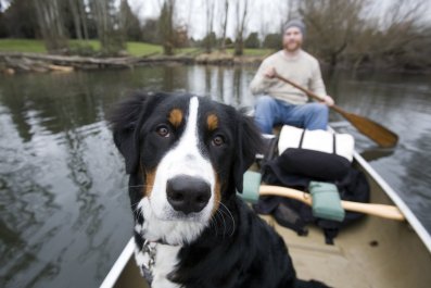 dog in canoe ImageCountry Getty Images