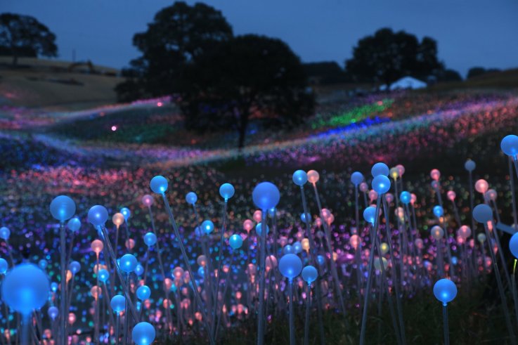 Field-of-Light-at-Sensorio_Copyright-©-2019-Bruce-Munro Field-of-Light-at-Sensorio_Copyright-©-2019-Bruce-Munro