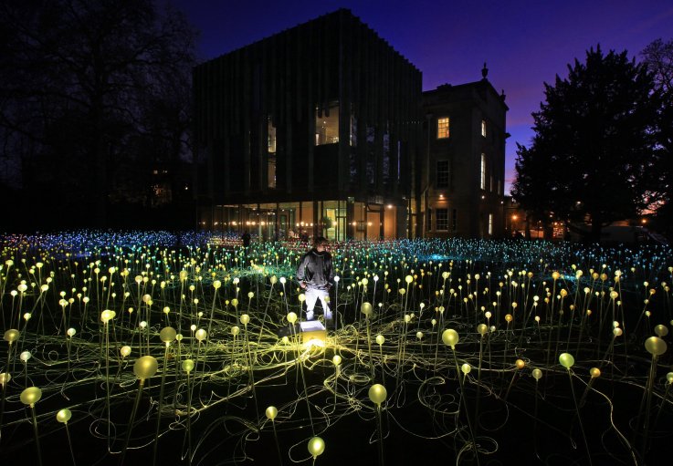 Field of Light bruce munro Field of Light bruce munro