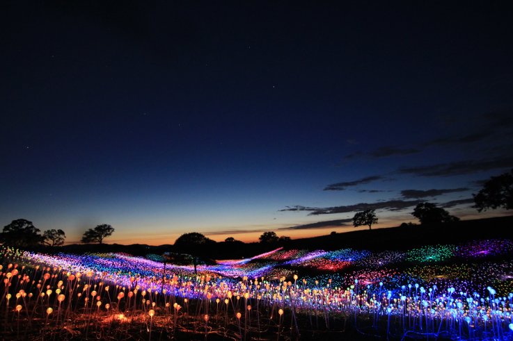 Field-of-Light-at-Sensorio_Copyright-©-2019-Bruce-Munro Field-of-Light-at-Sensorio_Copyright-©-2019-Bruce-Munro