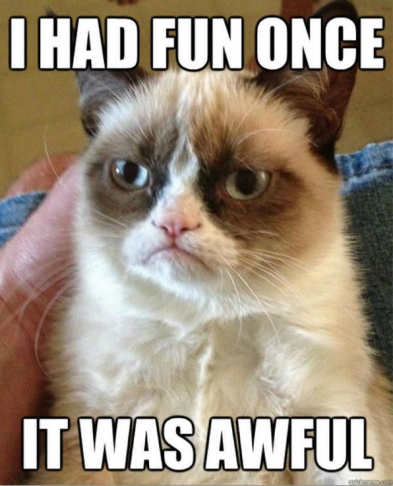 grumpy cat original