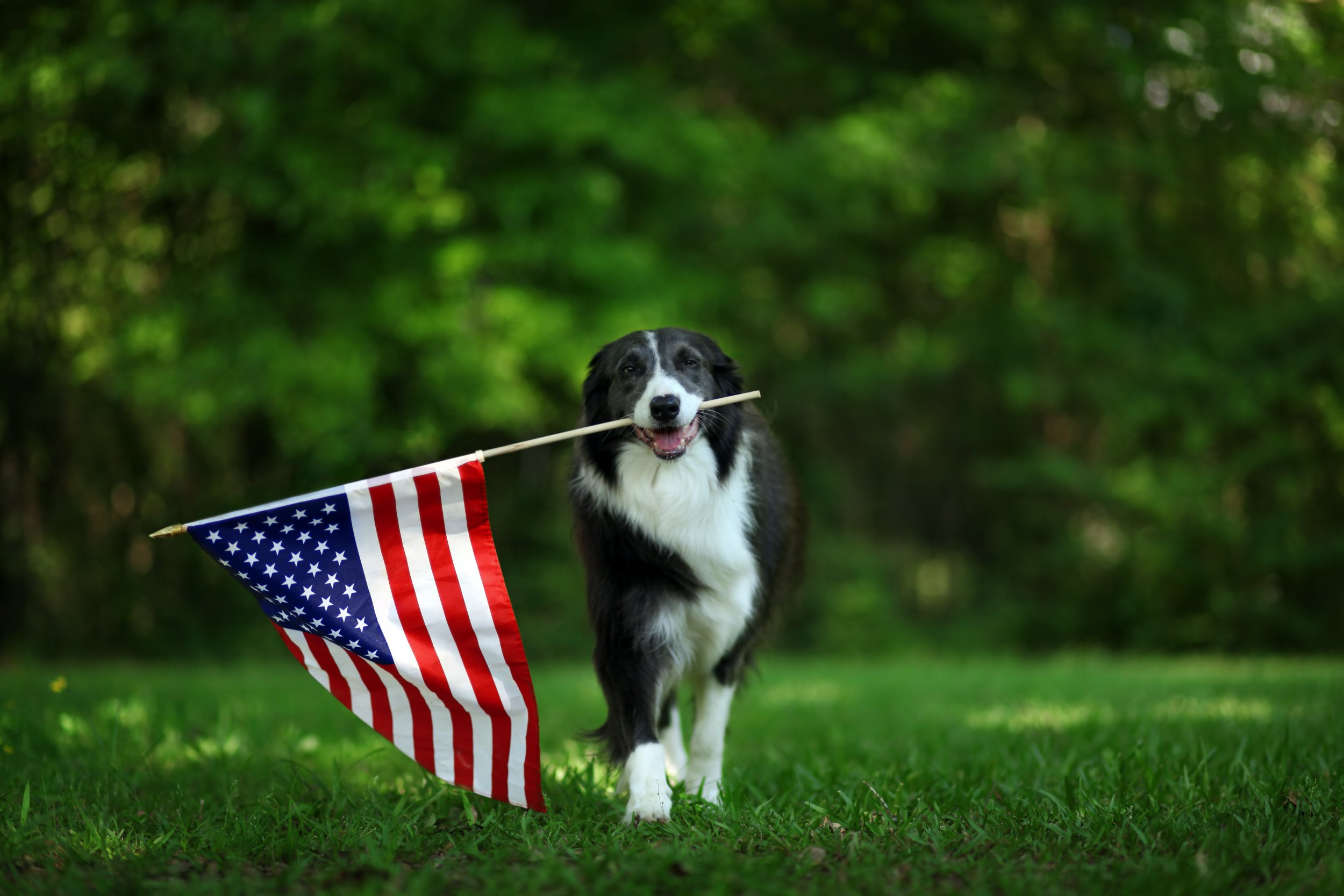 Memorial Day 2019 Are Banks, Post Office, DMV Open or Closed on May 27?