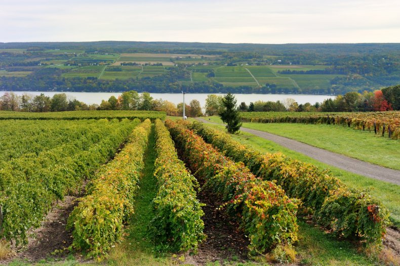 Keuka Lake jimfeng getty images