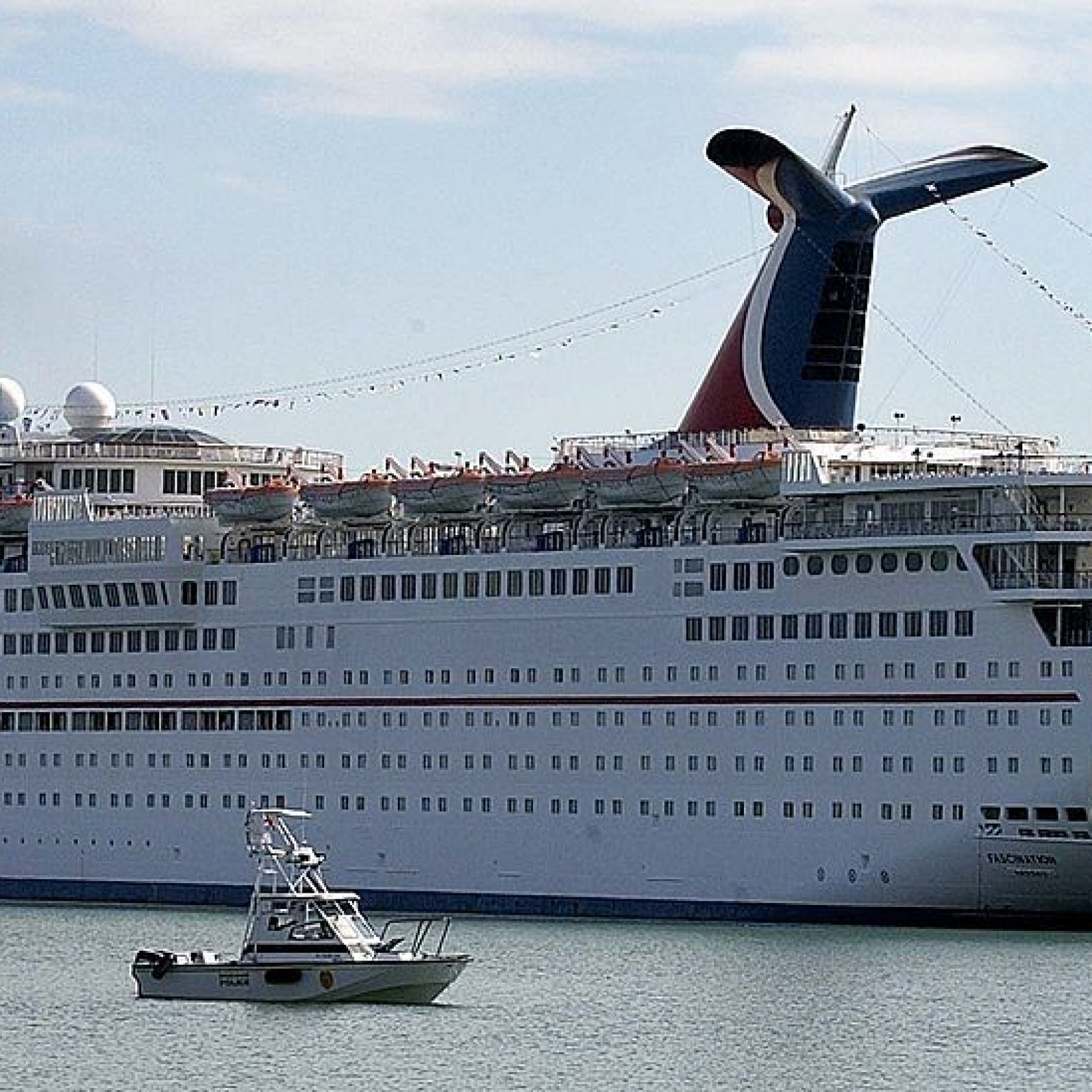 Video Cruise Ship Passenger Who May Have Jumped Overboard On Purpose Rescued After 45 Minute Operation