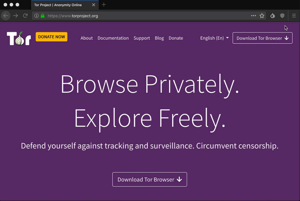 www browser tor