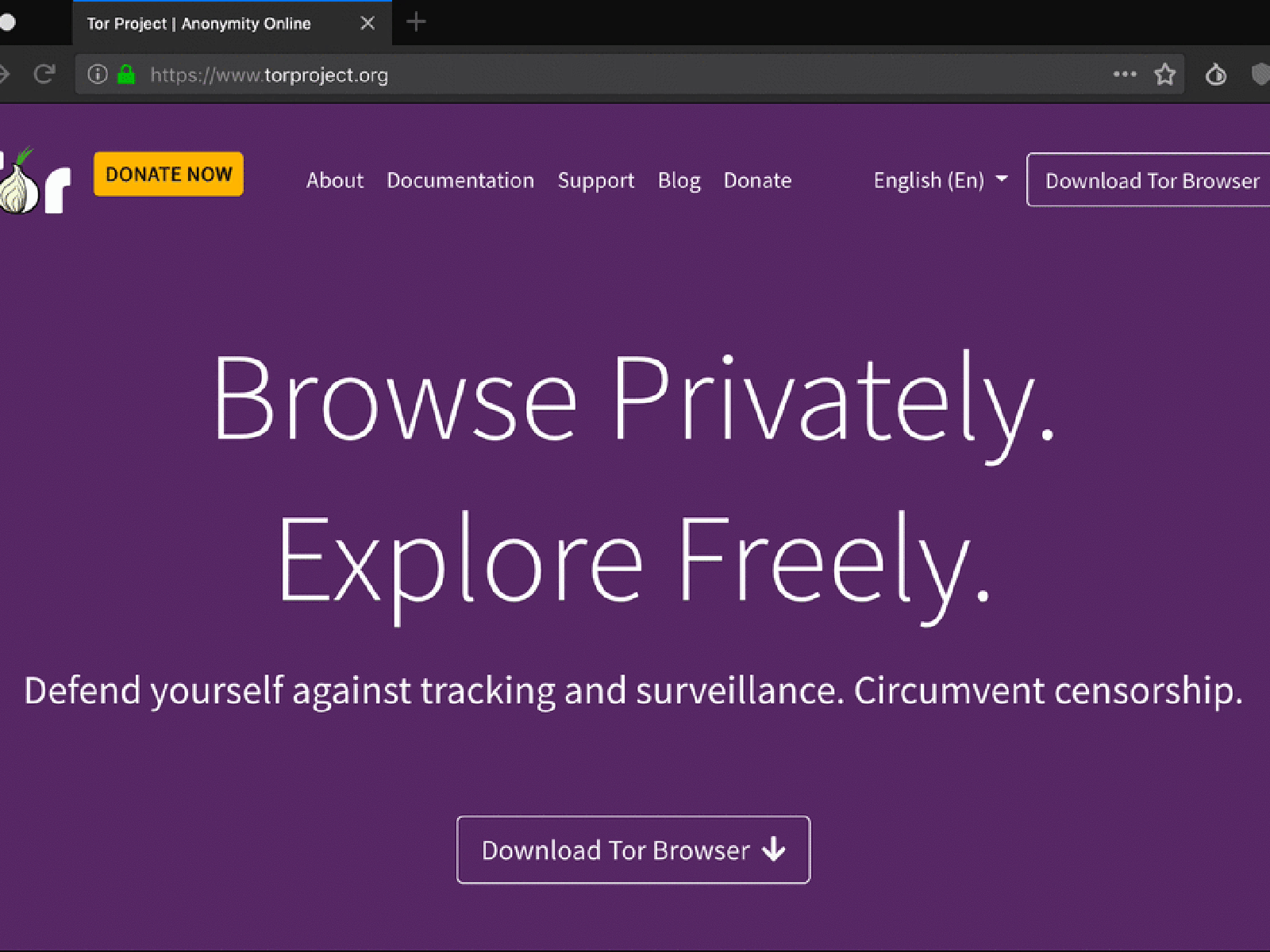 free download of tor browser