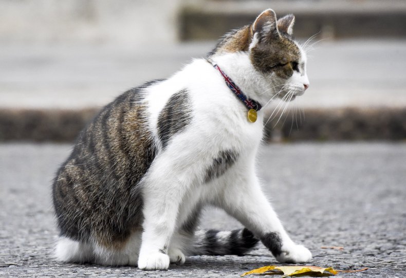 Larry the Cat, Theresa May