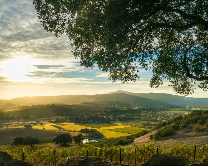 Napa Napa
