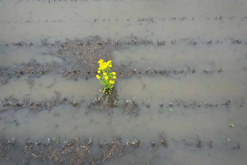 Illinois Flooding May 29 2019 2