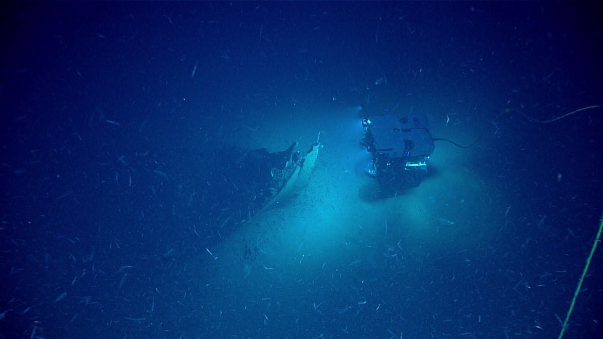 Shipwreck, Gulf of Mexico