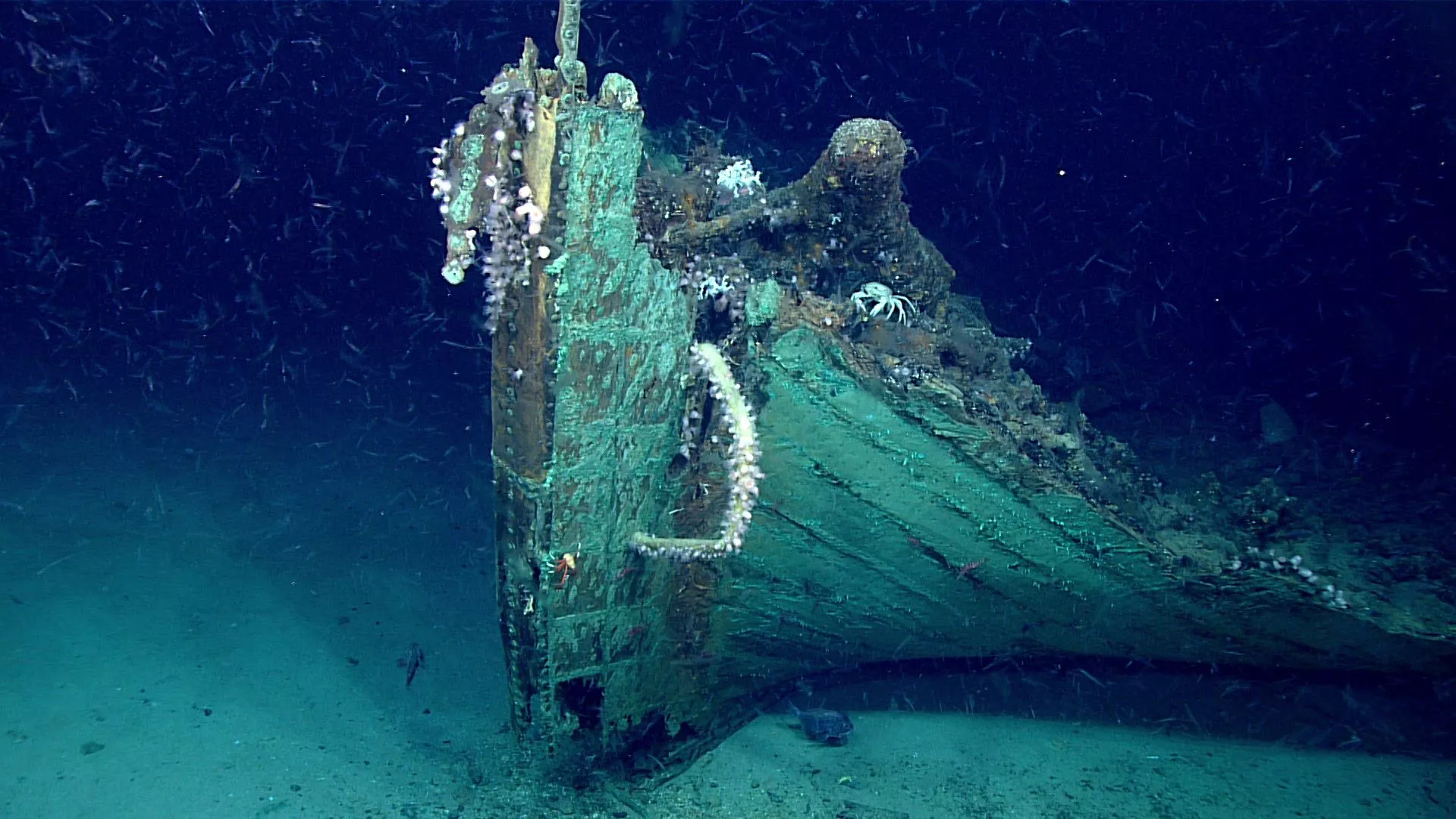 Mystery 200-year-old Shipwreck Discovered in Gulf of Mexico Missing Clues  About Crew and Vessel, Just the Number 2109