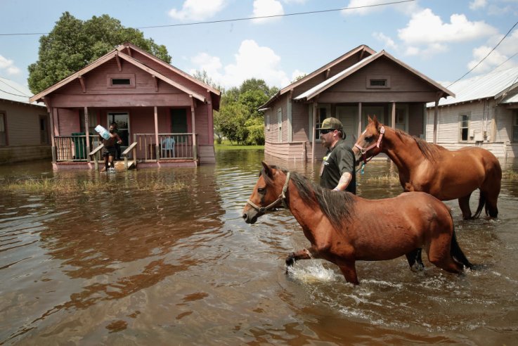 Flooding Flooding