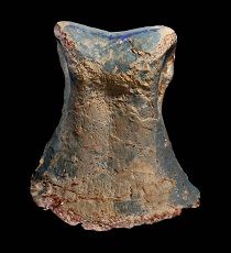 Fostoria dhimbangunmal