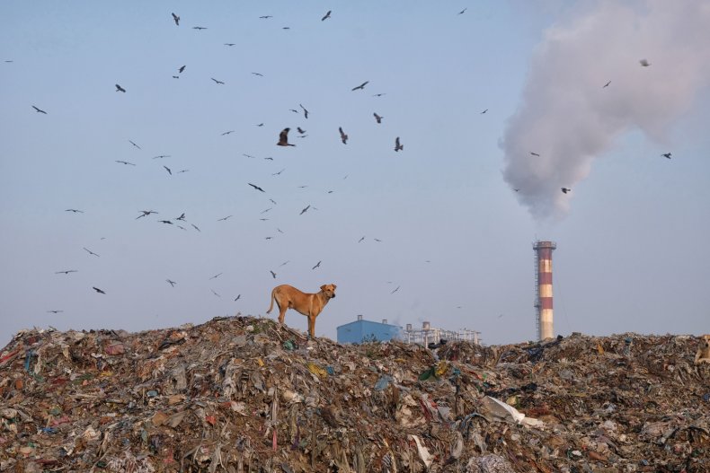 Ghazipur landfill new delhi