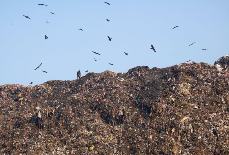 ragpicker india ghazipur new delhi