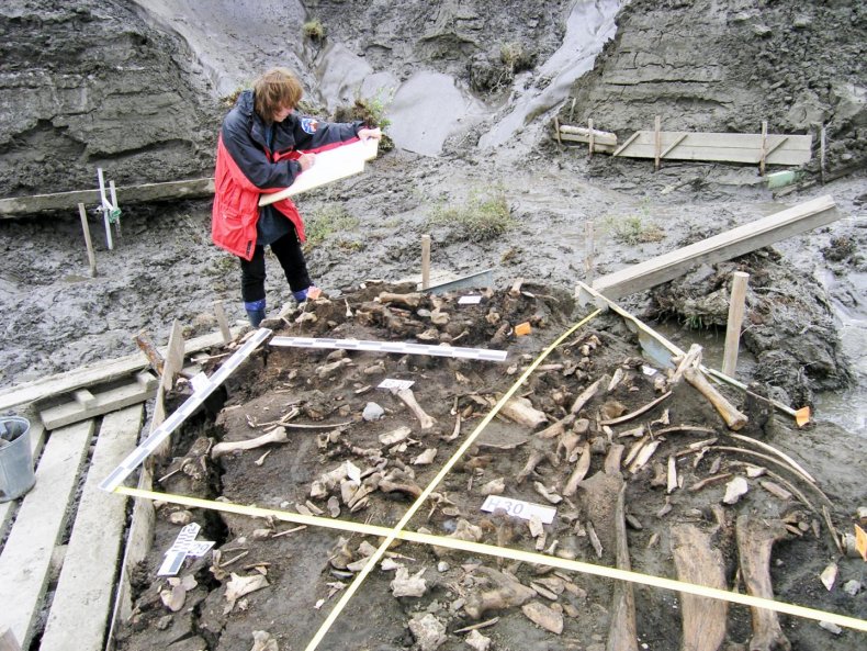 Archaeological Site Yana River