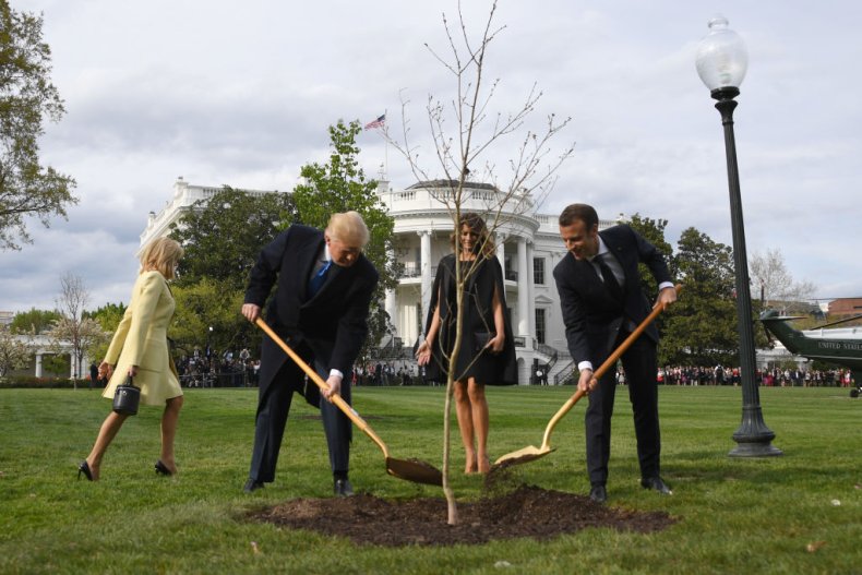 tree planting ceremony