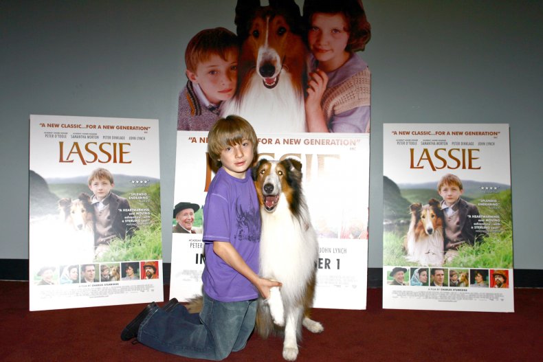 Lassie Peter Dinklage 50th birthday