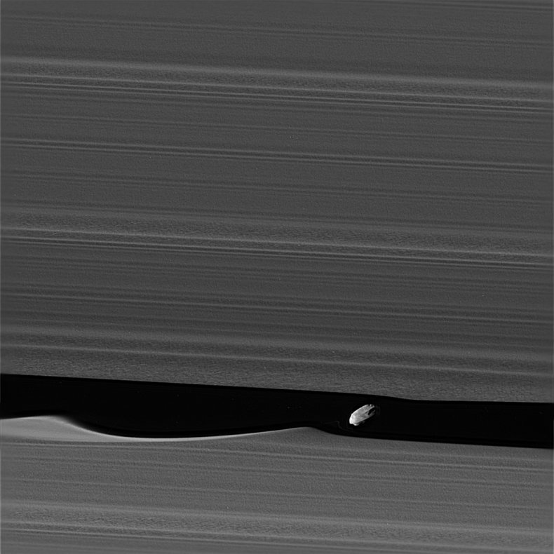Daphnis