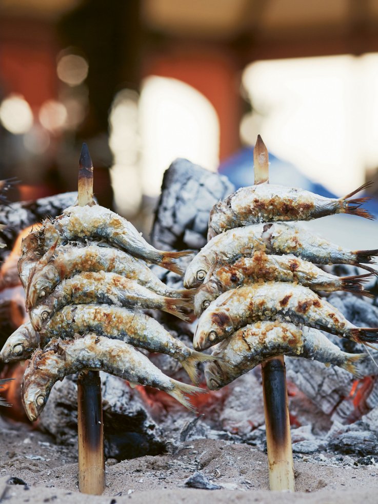 sardines sardines