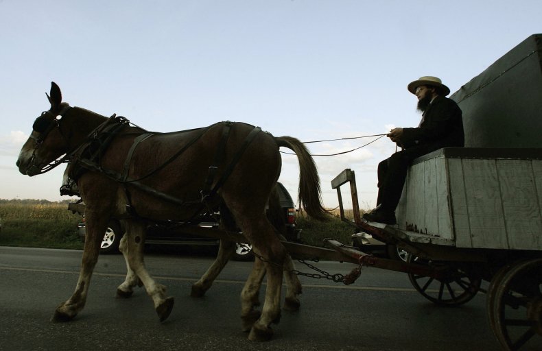 An Amish man drives his horse drawn wagon in Nickel Mines, Pennsylvania