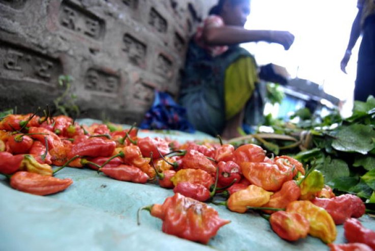 Spicy Peppers Spicy Peppers
