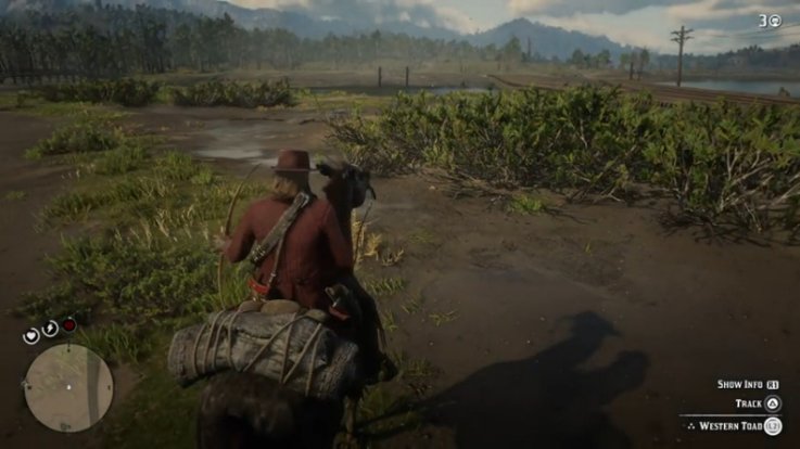 red dead online western toad gameplay red dead online western toad gameplay