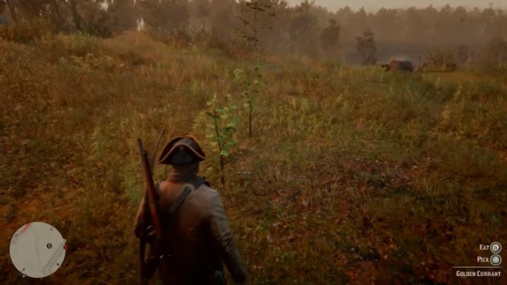 red dead online golden currant gameplay red dead online golden currant gameplay