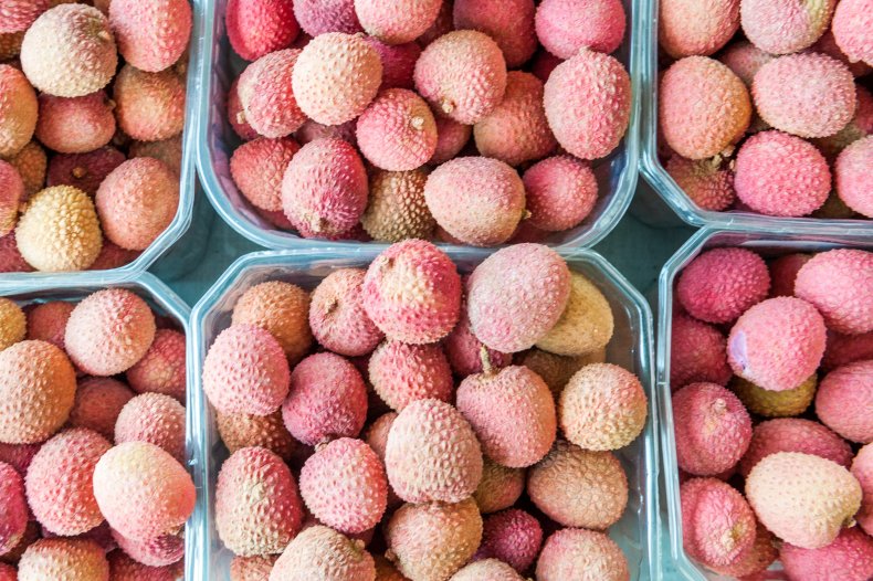 children, brain, encephalitis, india, lychees, disease