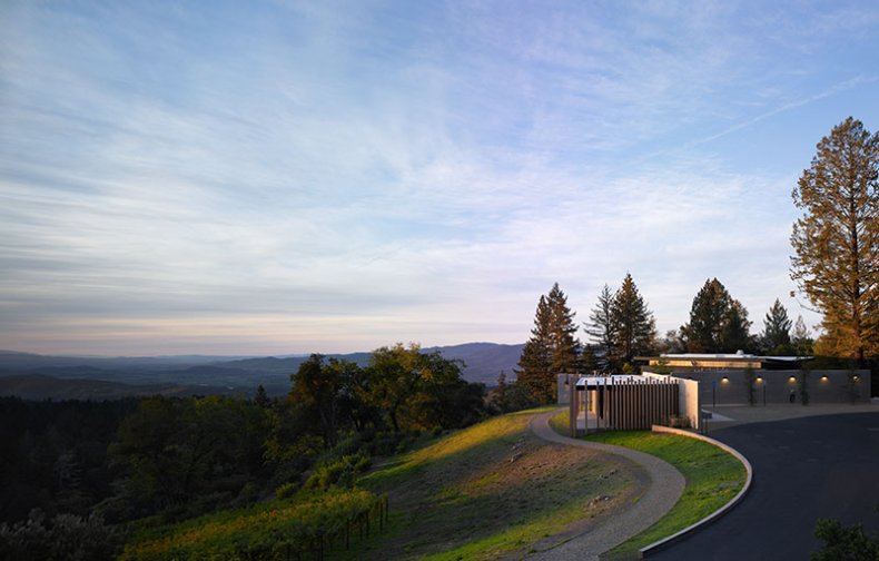 Cade Vineyard
