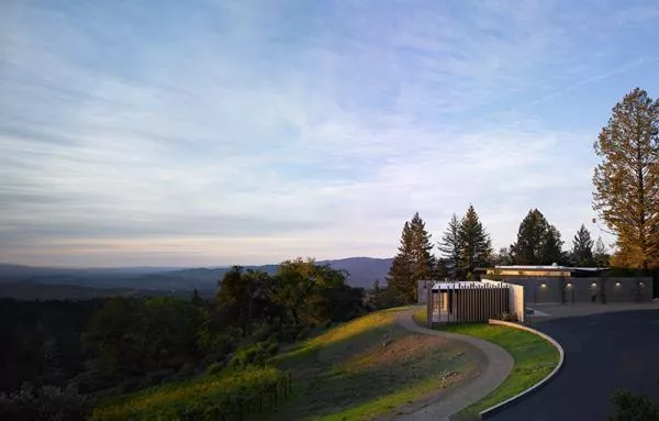 Cade Vineyard
