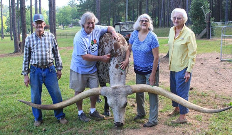 Poncho Via Texas Longhorn Guinness World Records