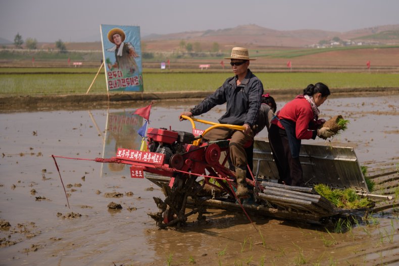 north korea food shortage drought