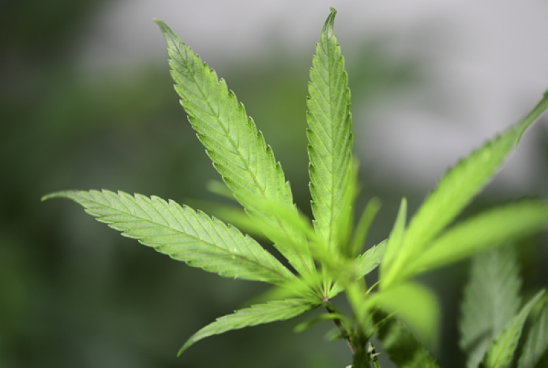 Democrats and Republicans Support Virginia's Attorney General's Call to Decriminalize Marijuana Possession