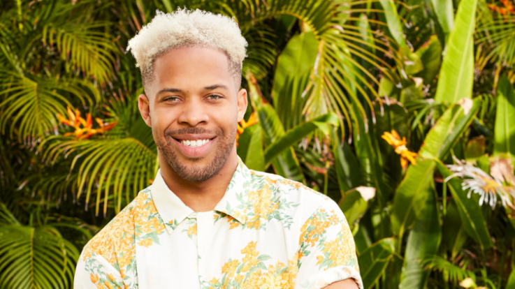 Bachelor in Paradise Cast Bachelor in Paradise Cast