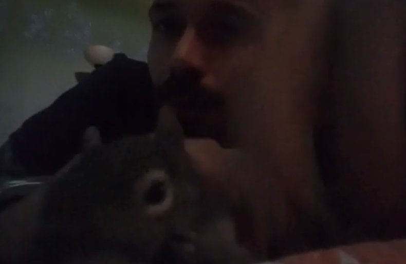 meth squirrel