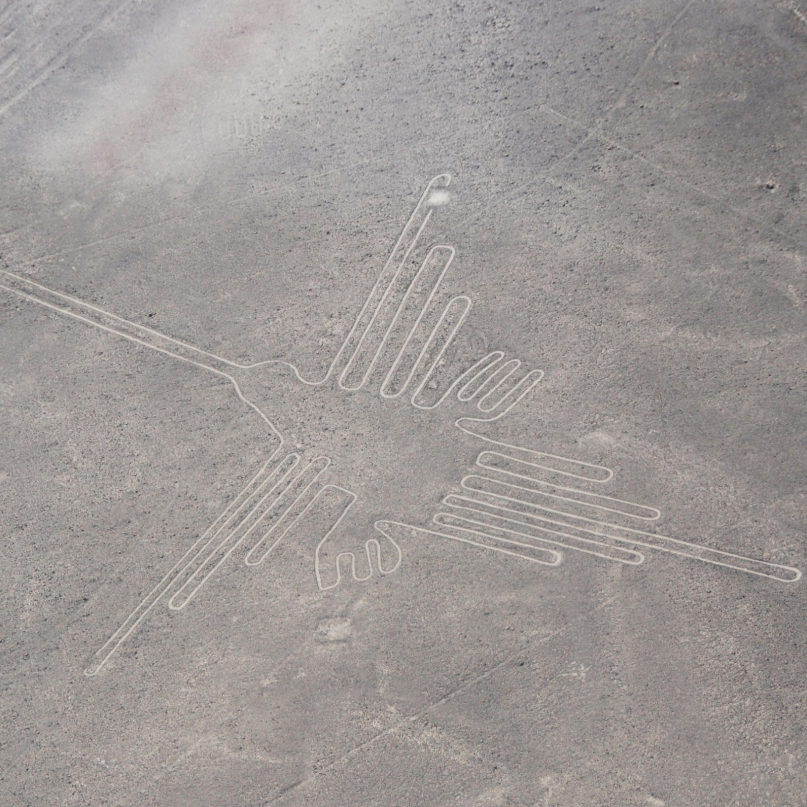 Peru S Nazca Lines May Depict Exotic Birds From Far Away Regions Scientists Say