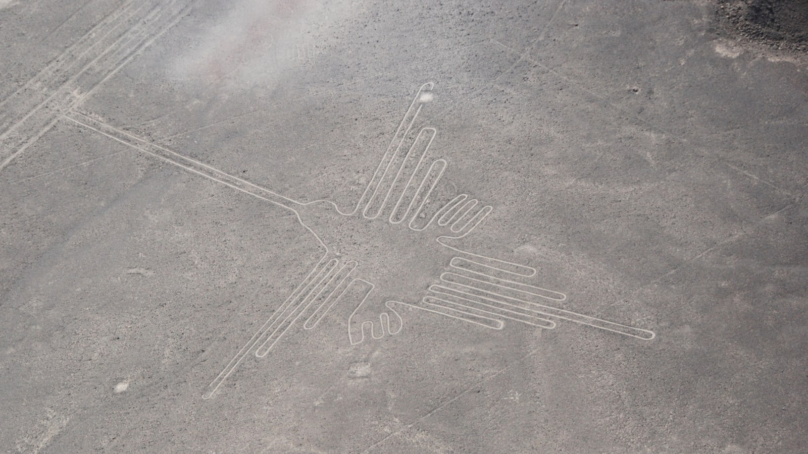 Peru S Nazca Lines May Depict Exotic Birds From Far Away Regions Scientists Say