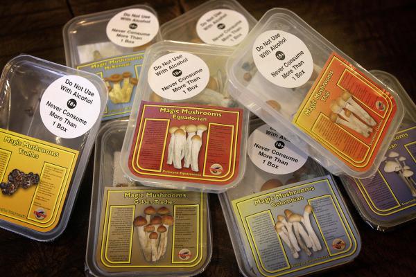 Magic Mushrooms Guide Where Shrooms Are Legal And How To Take