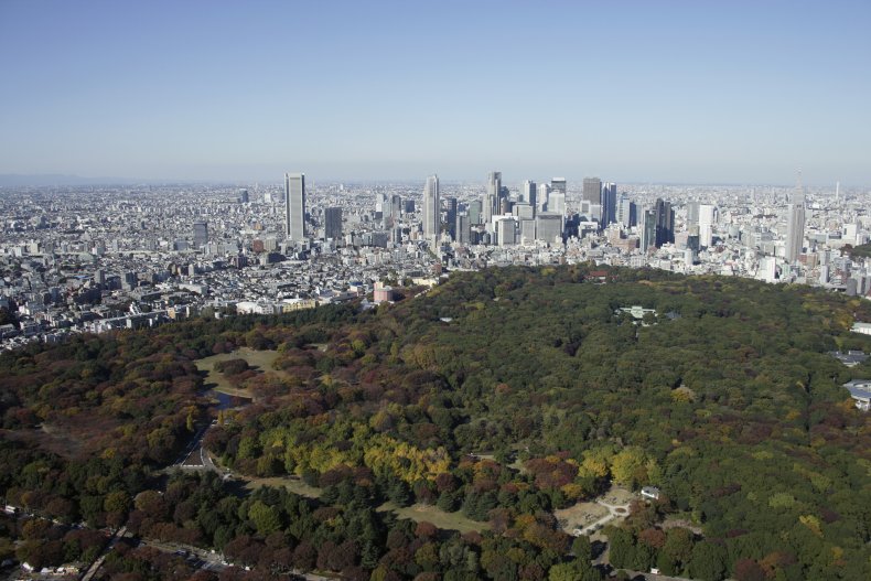 Yoyogi Park