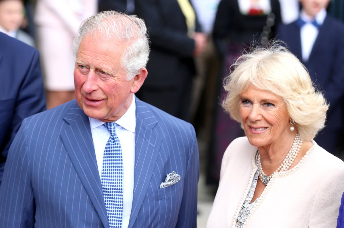 British Royal Family Trips Cost Nearly $3m Last Year. Prince Charles ...