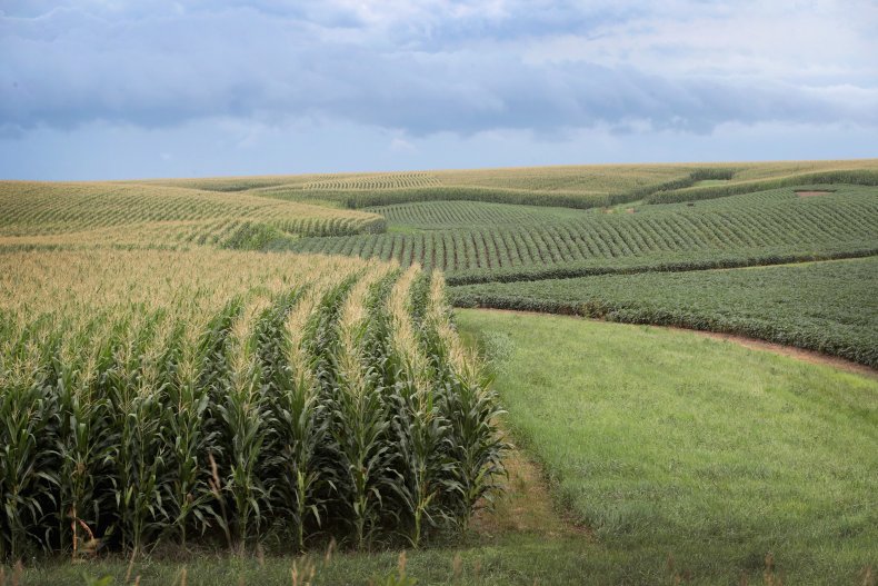 Iowa farm trade war
