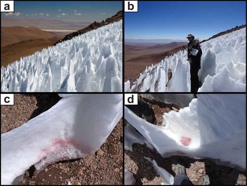 Nieves penitentes