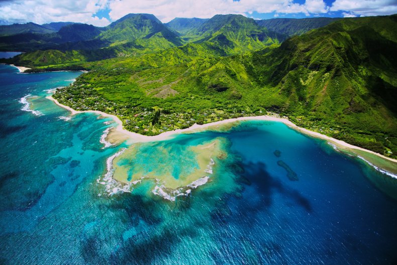 Surf Hawaii