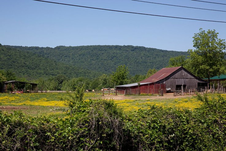 rural alabama rural alabama