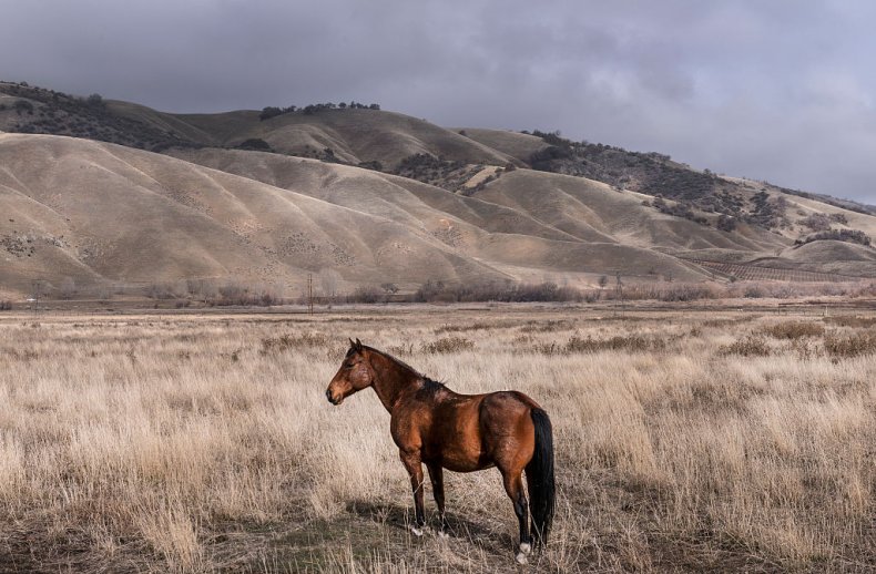 Tejon Ranch Tejon Ranch