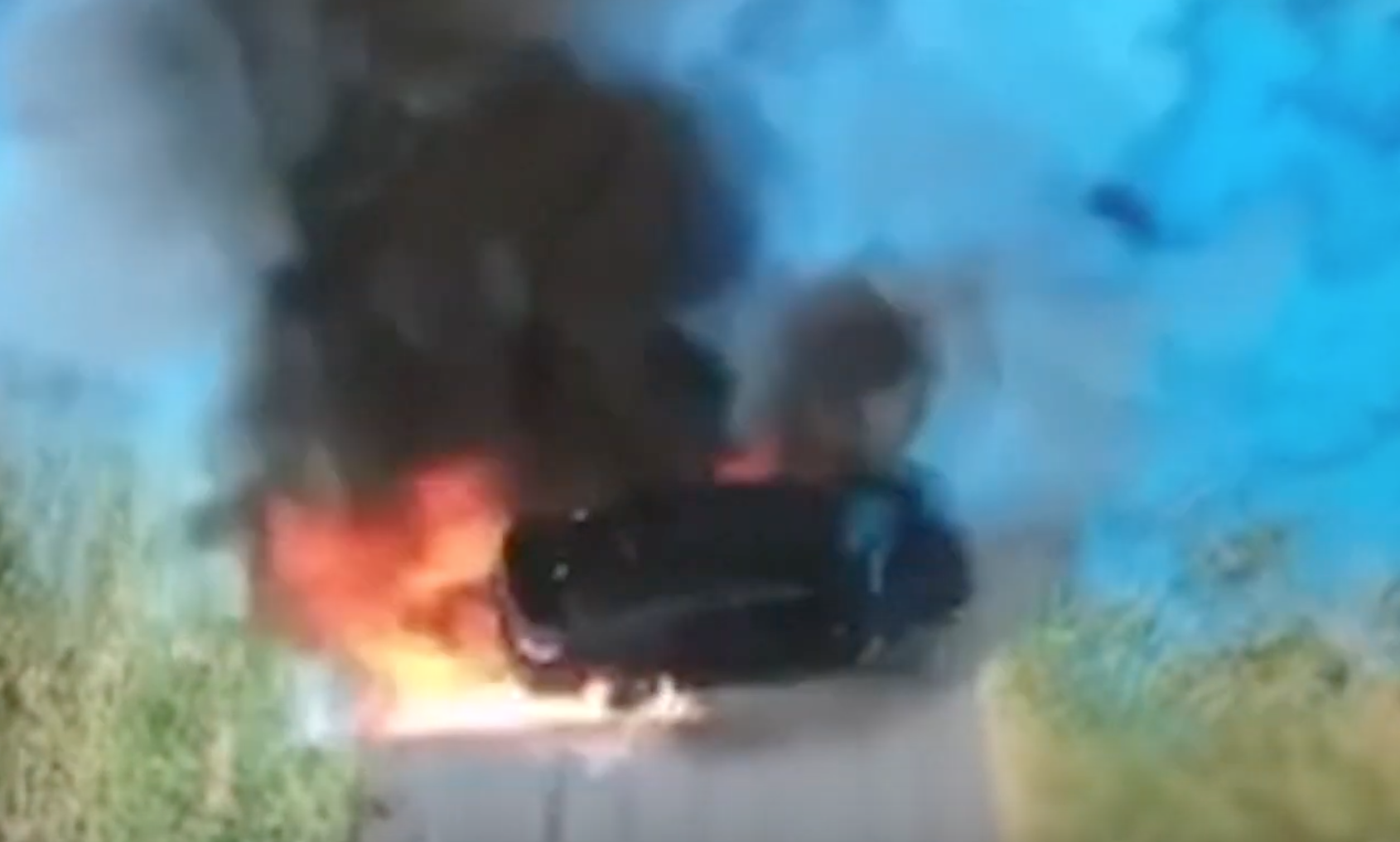 gender reveal explosion gender reveal explosion