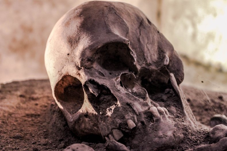 skull file